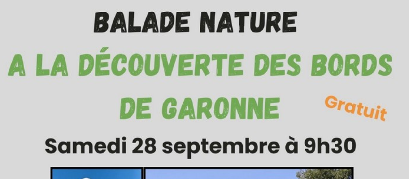 Agenda - Balade nature à la découverte des bords de Garonne et sur l'observation des oiseaux