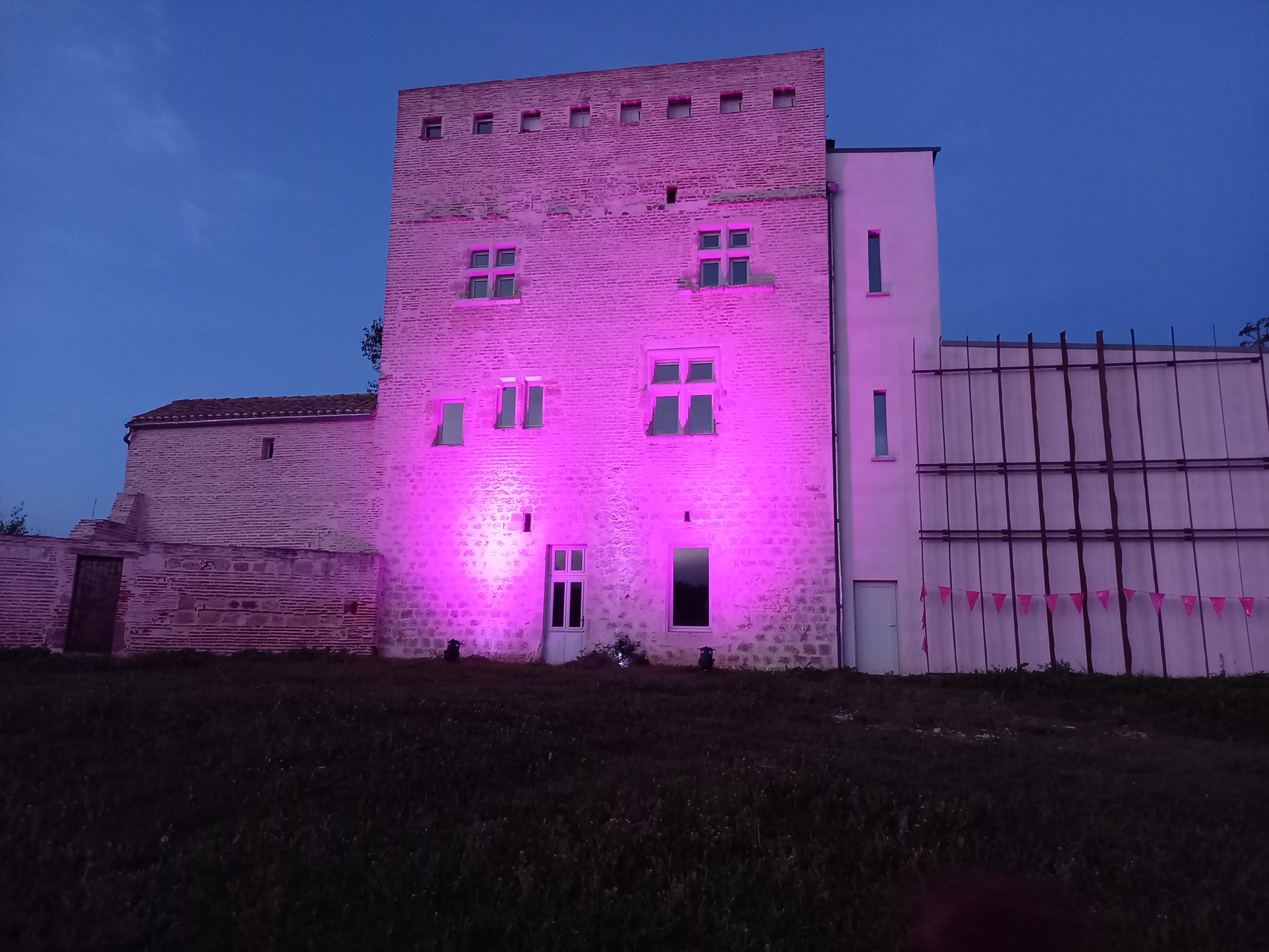 Marche nocturne dans le cadre d'octobre rose