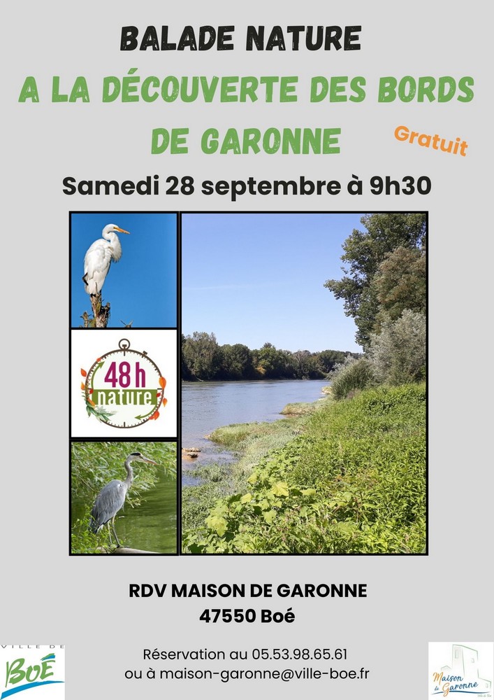 Balade nature à la découverte des bords de Garonne et sur l'observation des oiseaux